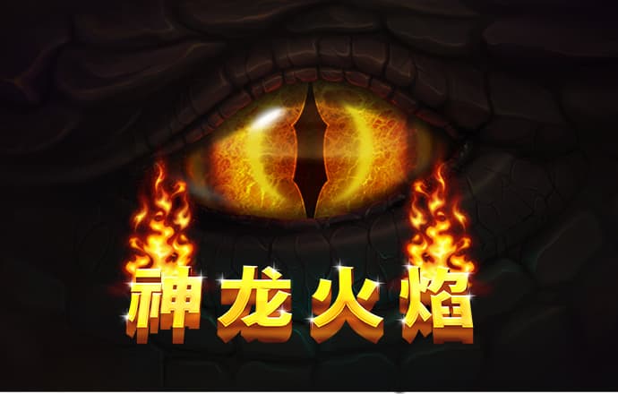 驯龙之路完整版